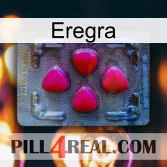 Eregra 13